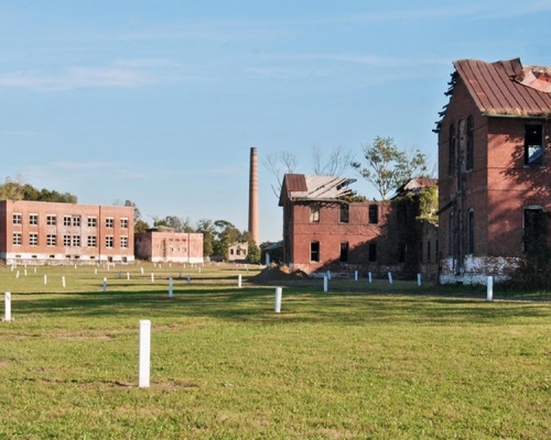 Hart Island。網圖
