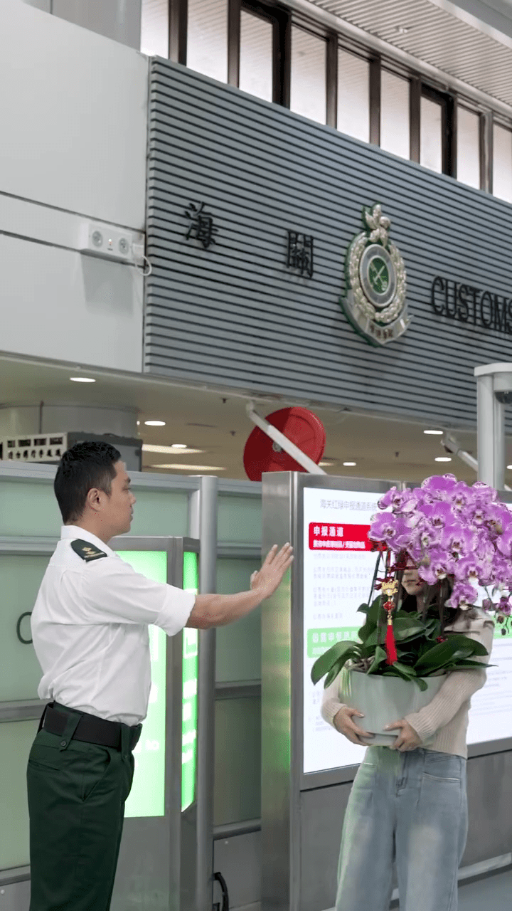 海關提醒,蘭花屬受管制物品。 海關提醒,蘭花屬受管制物品。