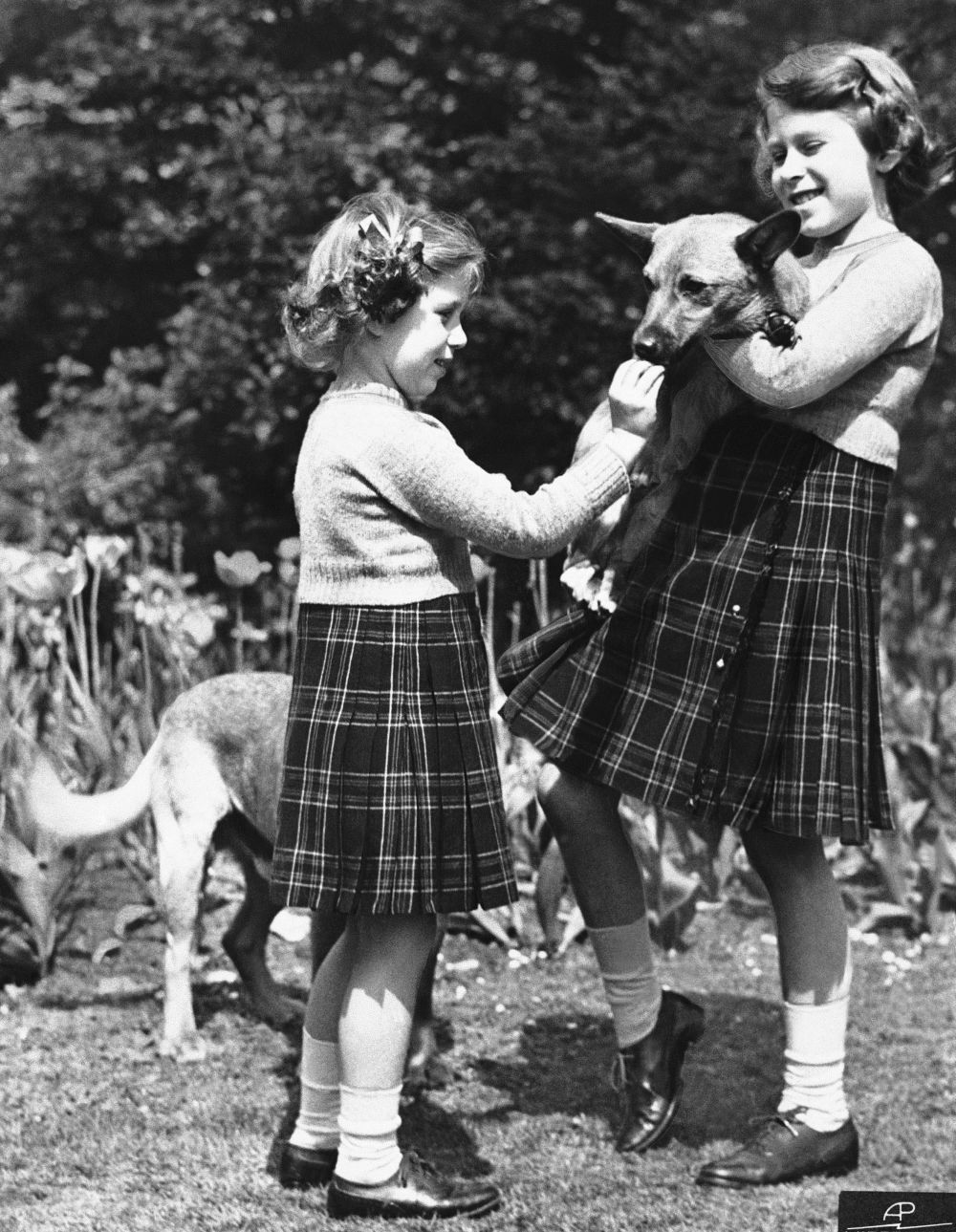 在这张1936年7月5日的档案照片中，英国的伊利沙伯公主（右）拿着一只彭布罗克郡柯基犬，而她的妹妹玛格丽特公主正在喂它一块饼乾。AP