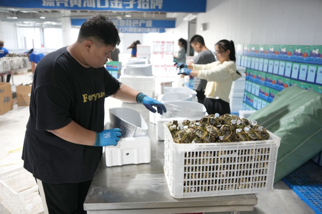 天氣影響產量，預料今年的大閘蟹售價會較去年貴。新華社