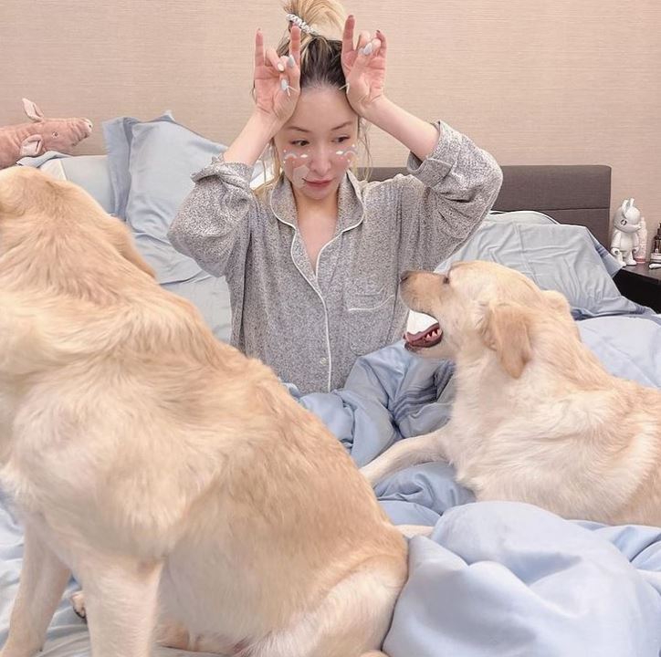 雖然被愛犬咬傷，但未有棄養。