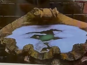 龜途 The Turtle's Inn 影片截圖