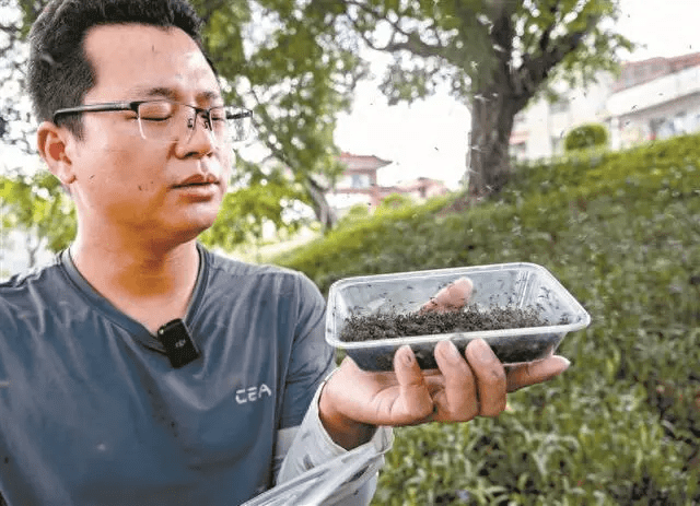 奚志勇是「以蚊治蚊」團隊的負責人。（網絡圖片）