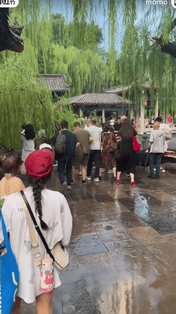 市民合力抬起樹枝救人。