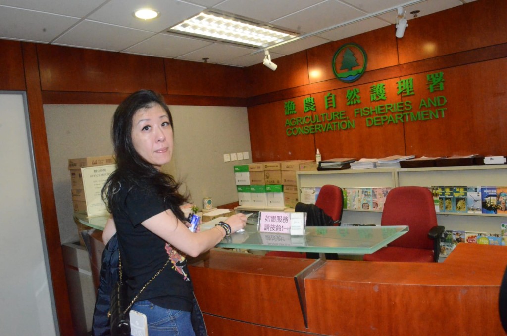 貓舍的張姓女負責人。 蔡楚輝攝