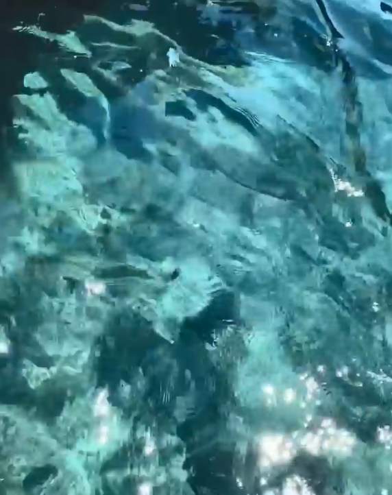 Capri島水質十分清澈。