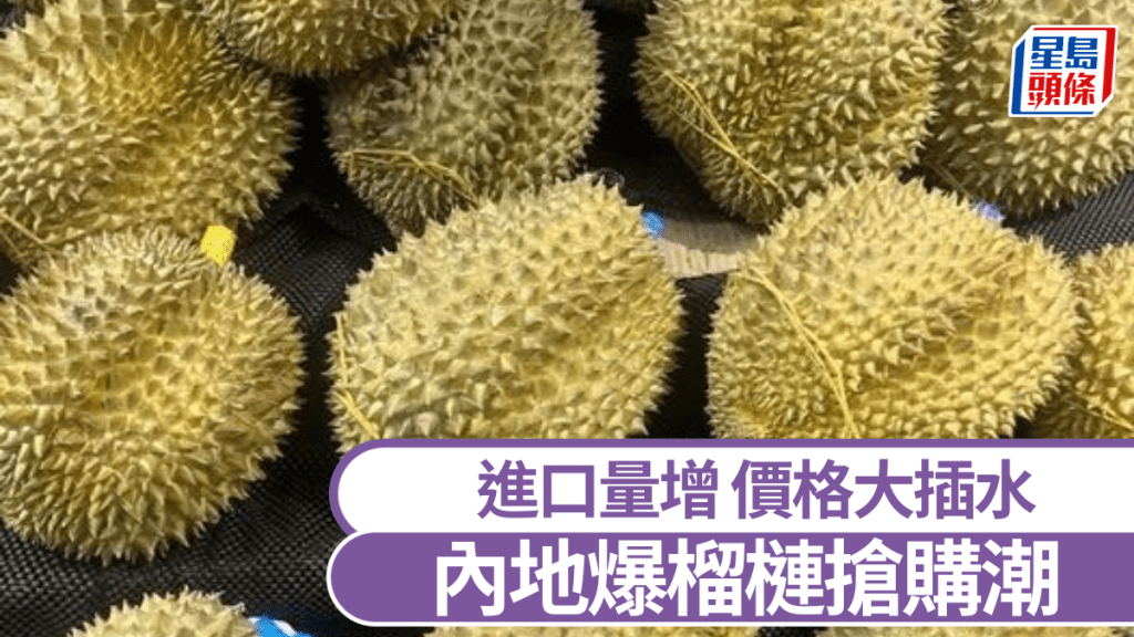 內地榴槤價格大插水,引發搶購潮。
