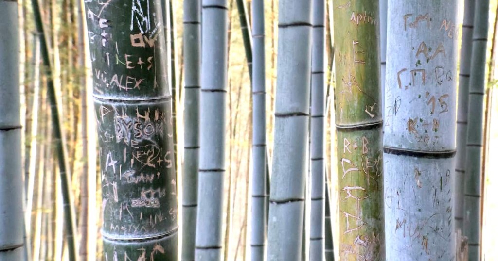 京都伏見稻荷大社竹林遭破壞，遭遊客刻字。X.com