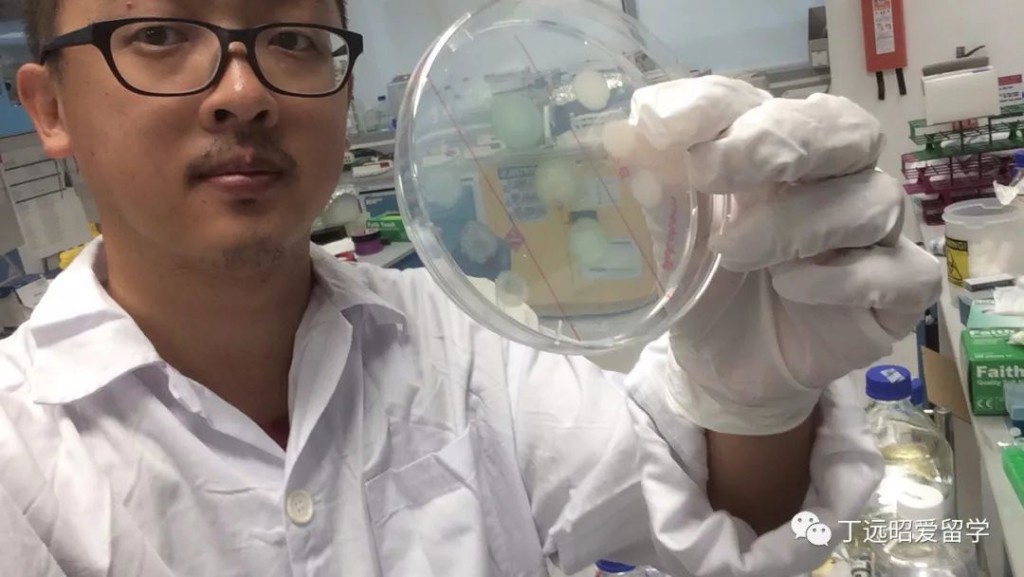 丁遠昭去年未獲新加坡大學續約。@丁遠昭愛留學 丁遠昭去年未獲新加坡大學續約。@丁遠昭愛留學