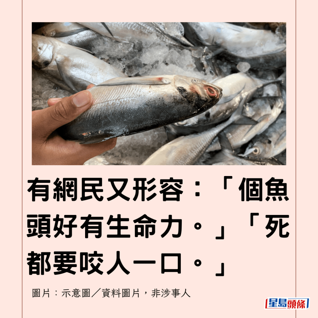 有網民又形容：「個魚頭好有生命力。」「死都要咬人一口。」