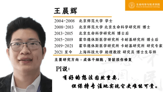 王晨辉教授简介。