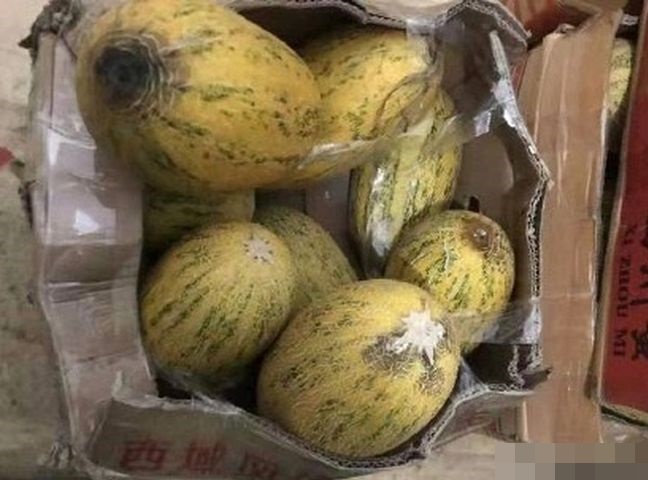 部分食物已發霉。網圖