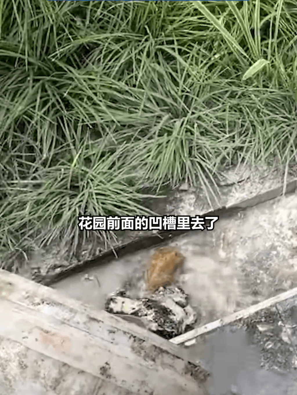 上海一男子褲袋羅馬仕「尿袋」自燃,致腿部三級燒傷,需植皮。 後浪視頻 上海一男子褲袋羅馬仕「尿袋」自燃,致腿部三級燒傷,需植皮。 後浪視頻