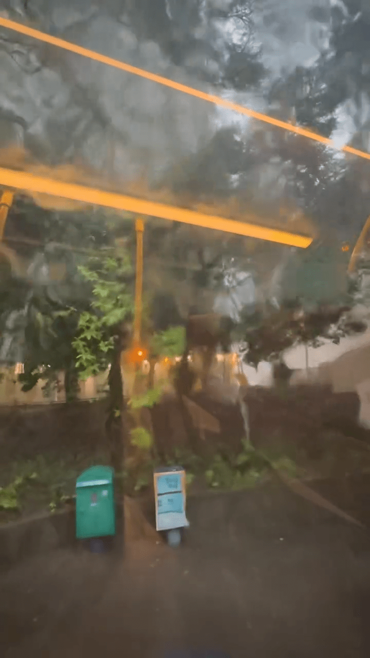 雨勢夾雜風勢 雨勢夾雜風勢