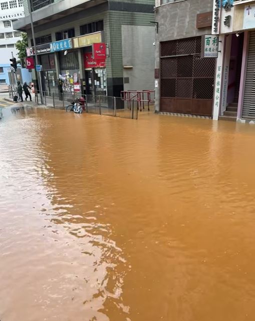 fb大埔 TAI PO影片截圖