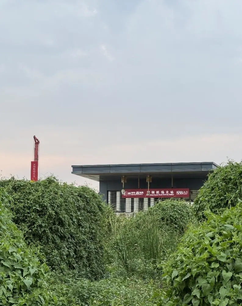 深圳最“孤独”地铁站。 南方都市报