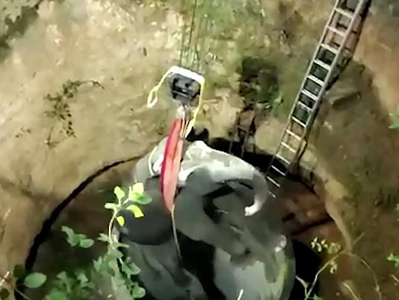 網圖