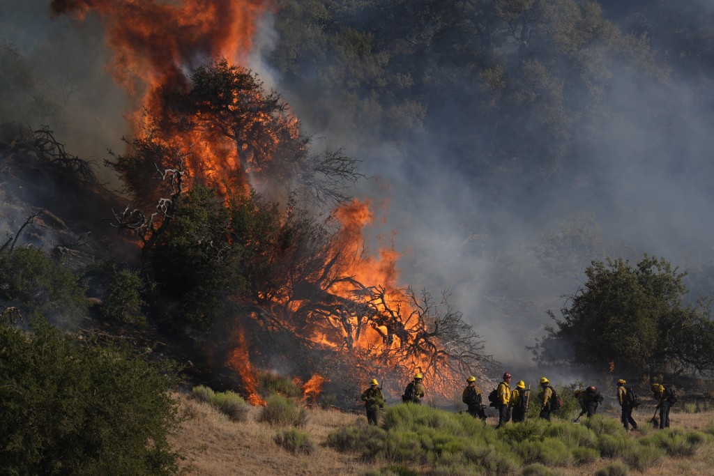 加州洛杉矶西北发生山火，火场面积达60平方公里