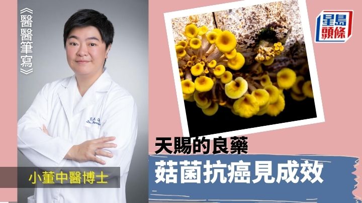 菇菌併中藥抗癌 天賜良藥見成效｜醫醫筆寫