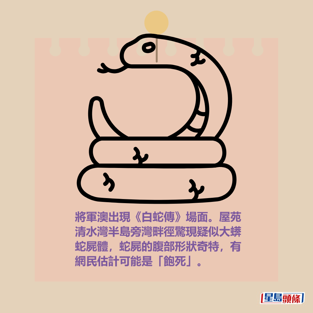 將軍澳出現《白蛇傳》場面。屋苑 清水灣半島旁灣畔徑驚現疑似大蠎 蛇屍體,蛇屍的腹部形狀奇特,有 網民估計可能是「飽死」。 將軍澳出現《白蛇傳》場面。屋苑 清水灣半島旁灣畔徑驚現疑似大蠎 蛇屍體,蛇屍的腹部形狀奇特,有 網民估計可能是「飽死」。