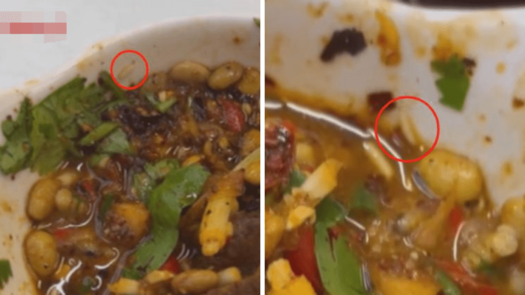 貴陽女食火鍋驚見活蛆蠕動。百姓關注