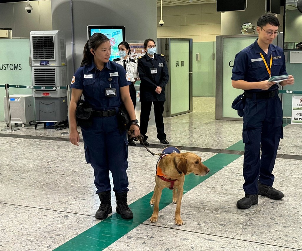 檢疫偵測犬在邊境管制站協助執法人員打擊非法行為。