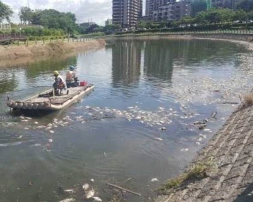 魚屍分布超過1公里。網圖