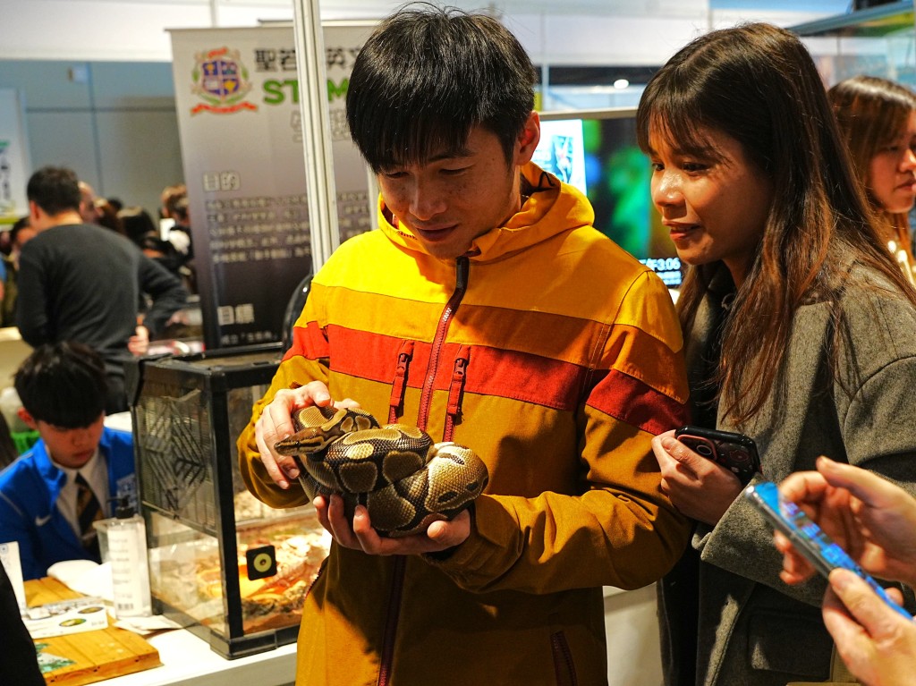 「動物多元生命館」展出多種稀有爬蟲類動物，讓入場人士進一步探索爬蟲類世界。