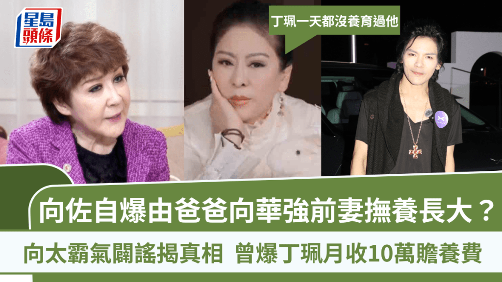 向佐自爆由爸爸向華強前妻撫養長大？向太霸氣闢謠揭真相：丁珮一天都沒養育過他