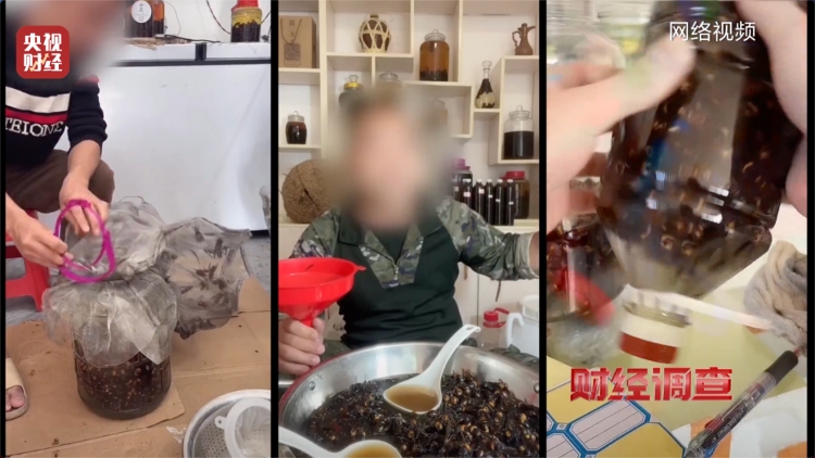 央視曝光濫養殺人蜂兜售牟利成風。