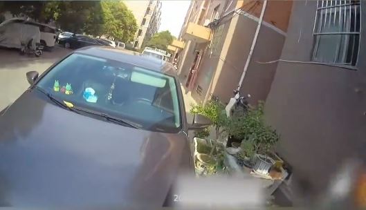 河南3名小學生發現有人在路邊種植罌粟。中新社