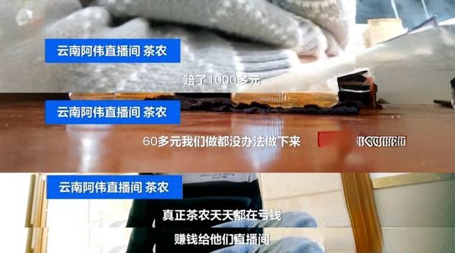 茶农称他们每日都蚀本。央视新闻 茶农称他们每日都蚀本。央视新闻