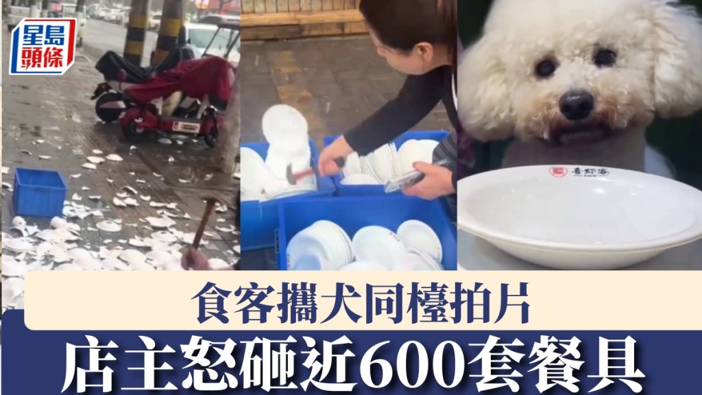 食客攜犬同檯拍片，店主怒砸近600套餐具。