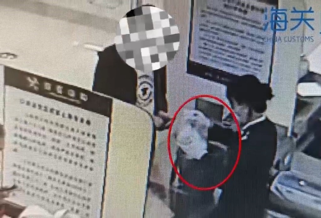 两名男女经莲塘口岸北上时，揭发现偷运燕窝（红圈）。