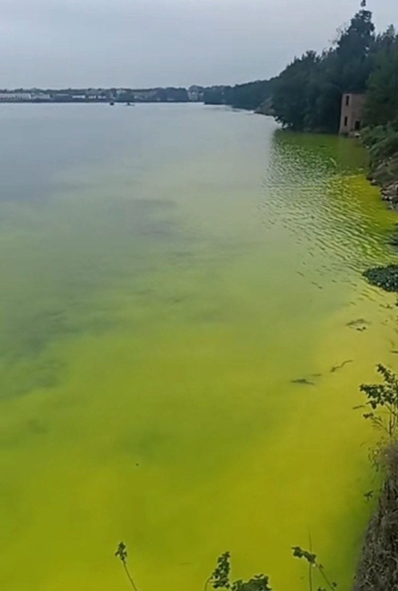 湘江部分水體呈黃色。