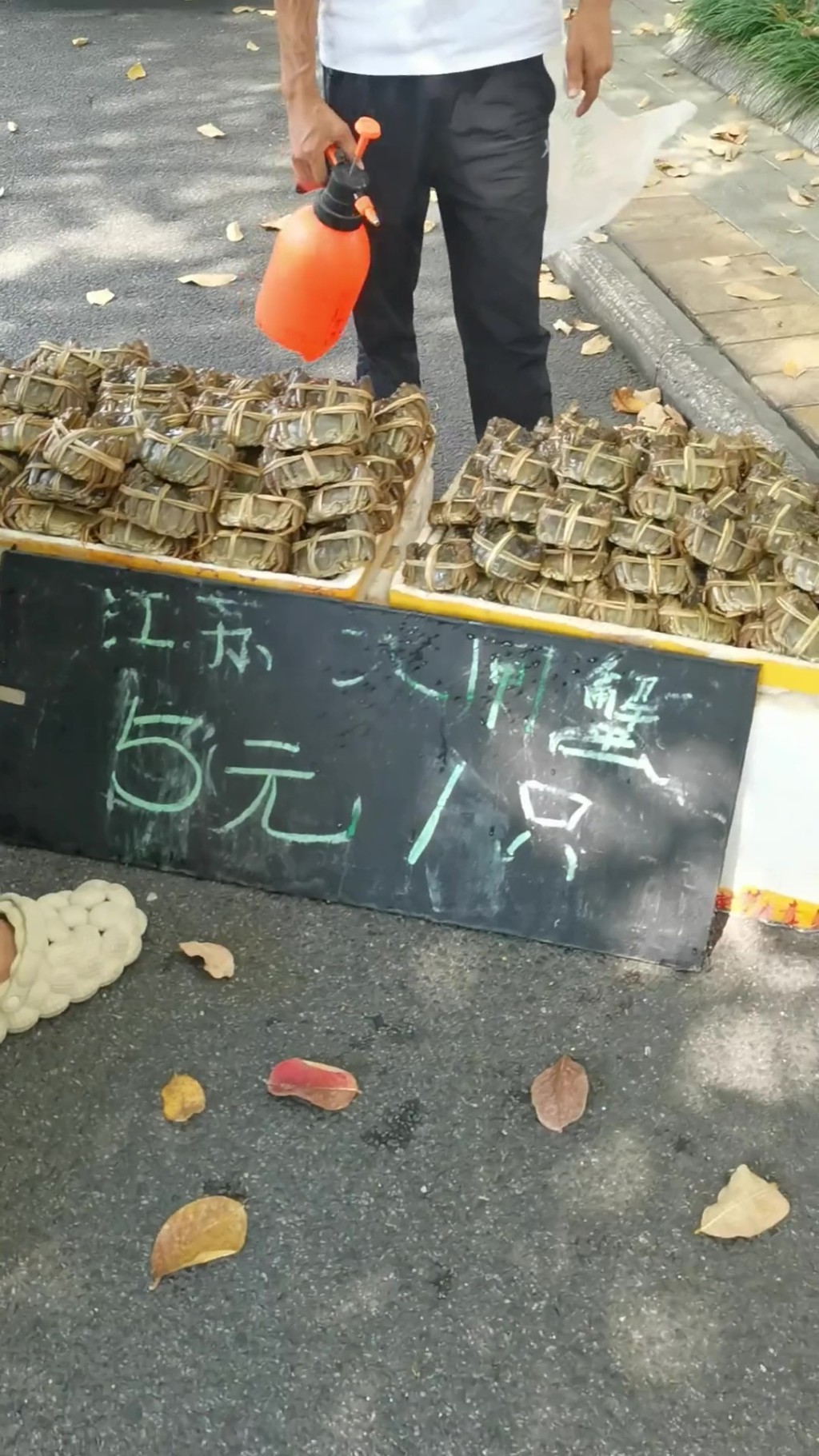 大閘蟹行情兩極化!中小蟹跌至地板價¥5隻,頂級精品價依舊硬。抖音 大閘蟹行情兩極化!中小蟹跌至地板價¥5隻,頂級精品價依舊硬。抖音