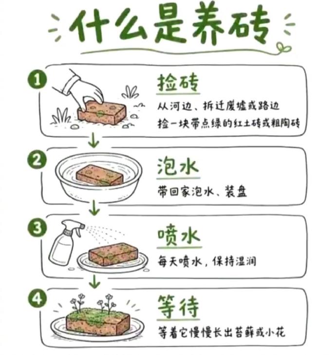 養磚方法。環球時報