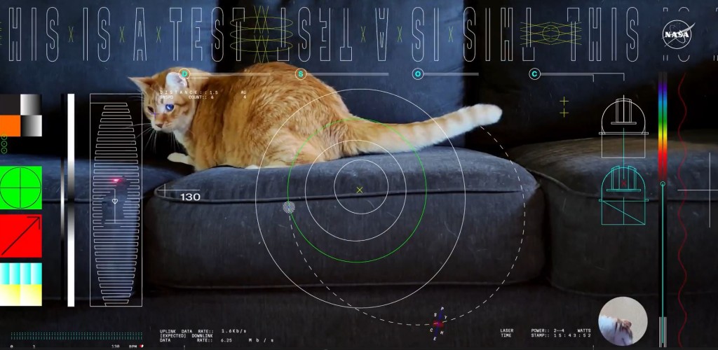 Taters在沙發追逐激光光點的影片，極速在網絡廣傳，讓牠成為「網紅貓」。NASA
