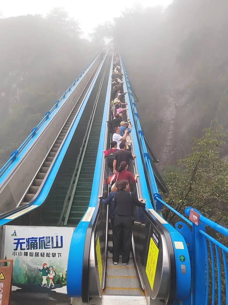 遊客乘坐台州神仙居景區的自動扶梯,僅需幾分鐘就能輕鬆登山。 遊客乘坐台州神仙居景區的自動扶梯,僅需幾分鐘就能輕鬆登山。