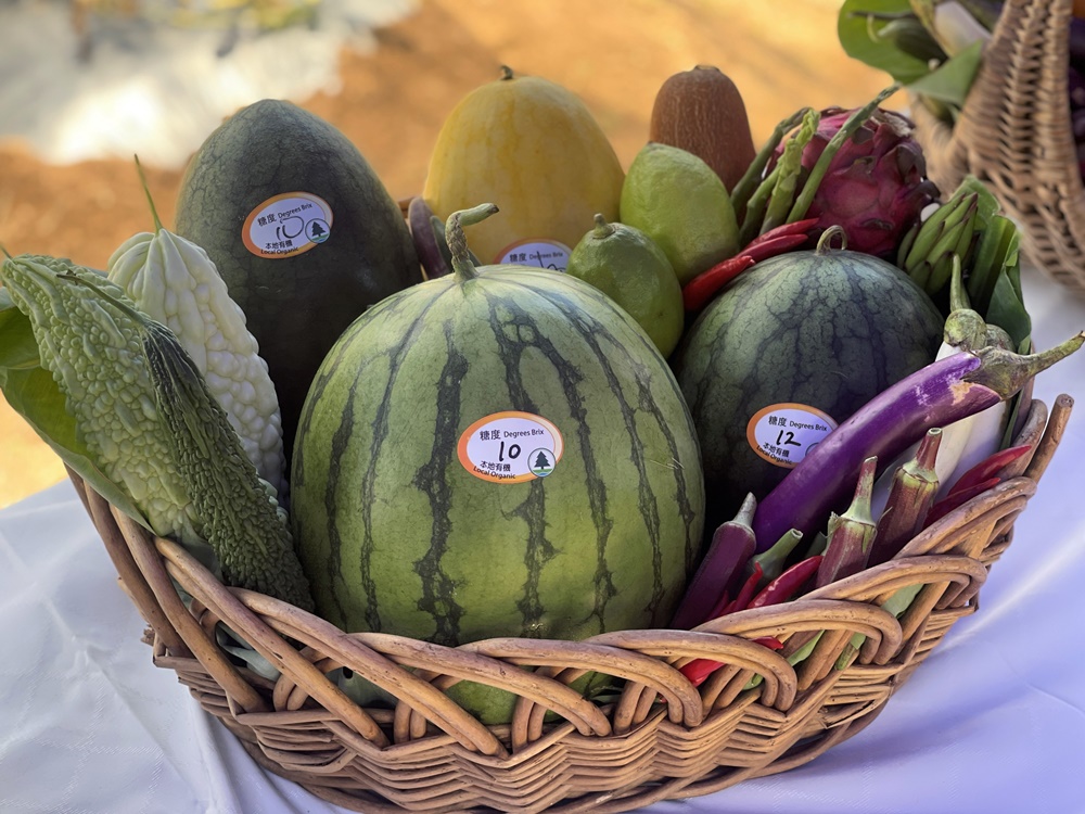 漁農自然護理署將舉行一年一度的本地有機西瓜節。漁護署提供