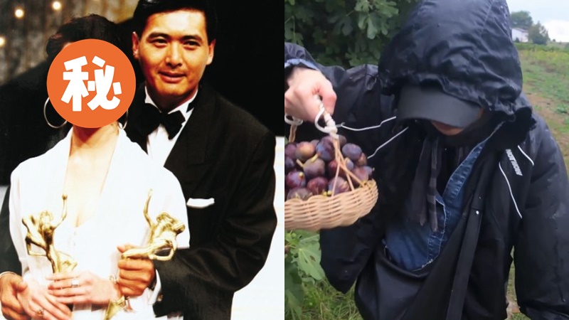 「失婚金像影后」洗盡鉛華擔梯務農  驚人狀態曝光被質疑曾做醫美  情路坎坷單身多年