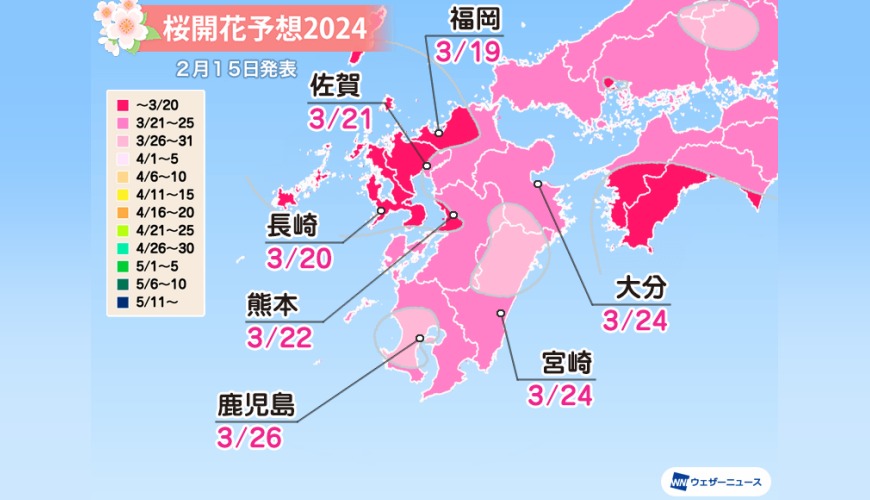 九州预估开花期。Weathernews图片