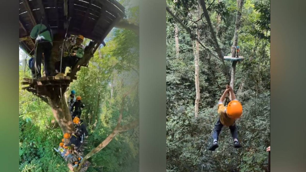 「叢林飛躍」是西雙版納原始森林公園的人氣項目。抖音
