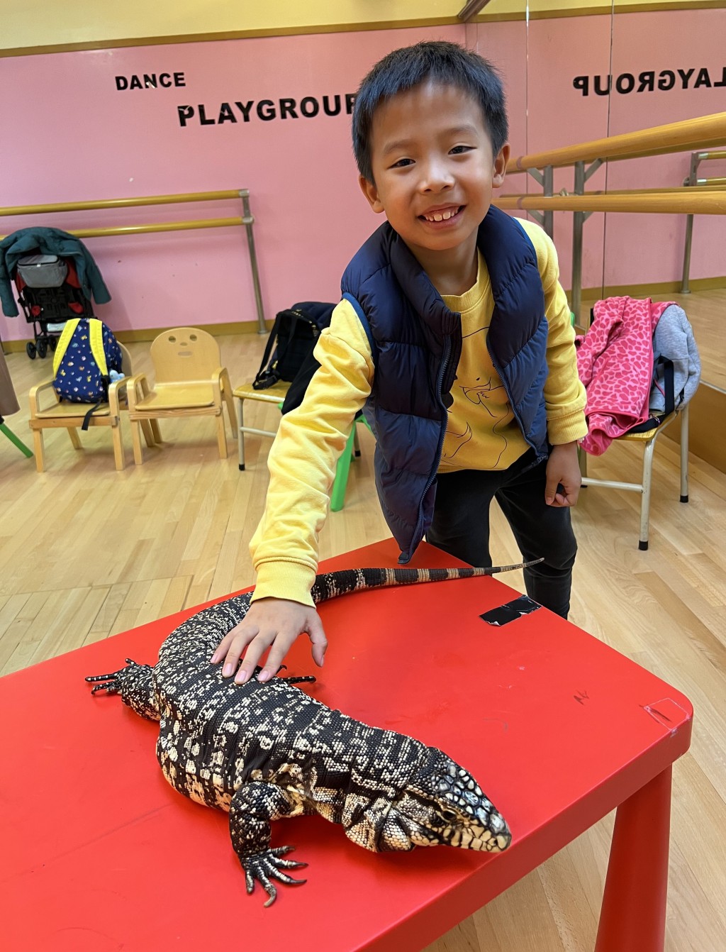 每月舉辦活動均安排一個不同的動物系列,所有動物均為溫馴品種,並經 過專業健康檢測。(圖片來源:受訪者提供) 每月舉辦活動均安排一個不同的動物系列,所有動物均為溫馴品種,並經 過專業健康檢測。(圖片來源:受訪者提供)
