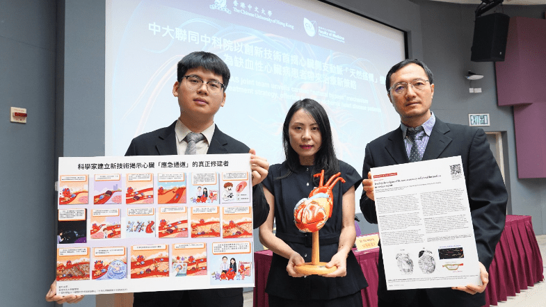 中大以創新技術首揭心臟側支動脈「天然搭橋」機制 冀獲資助於大灣區拓展藥物臨床研究