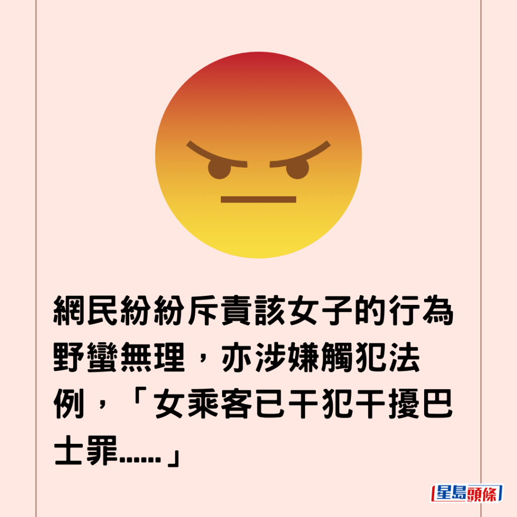  网民纷纷斥责该女子的行为野蛮无理，亦涉嫌触犯法例，「女乘客已干犯干扰巴士罪......」