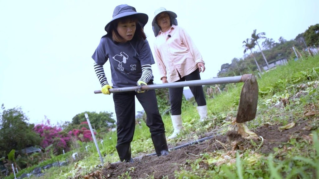 小仪主动要求体验乡郊生活。