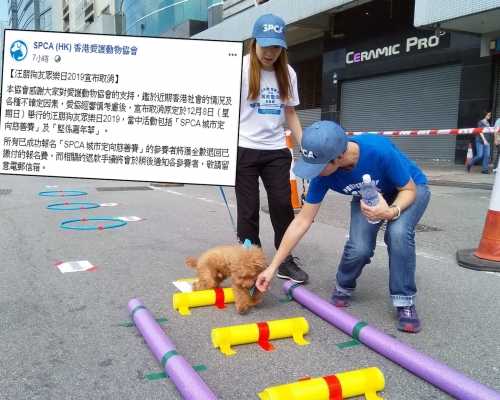 愛協取消12月的嘉年華及城市定向比賽。 愛協FB及汪朋狗友眾樂日FB圖