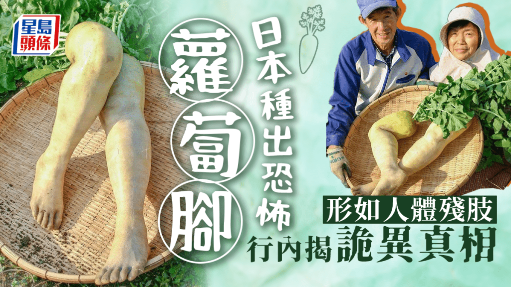 網絡近日瘋傳日本有農夫種出恐怖「蘿蔔腳」，形如人體殘肢，栩栩如生，有關的影片及相片震驚網民，事件今日(22日)有最新發展，有行內網民透露事件背後的詭異真相。