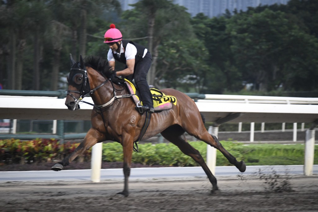 「合夥奔馳」不斷進步之馬狀態勇銳，氣勢如虹。